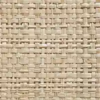 Raffia Fabric